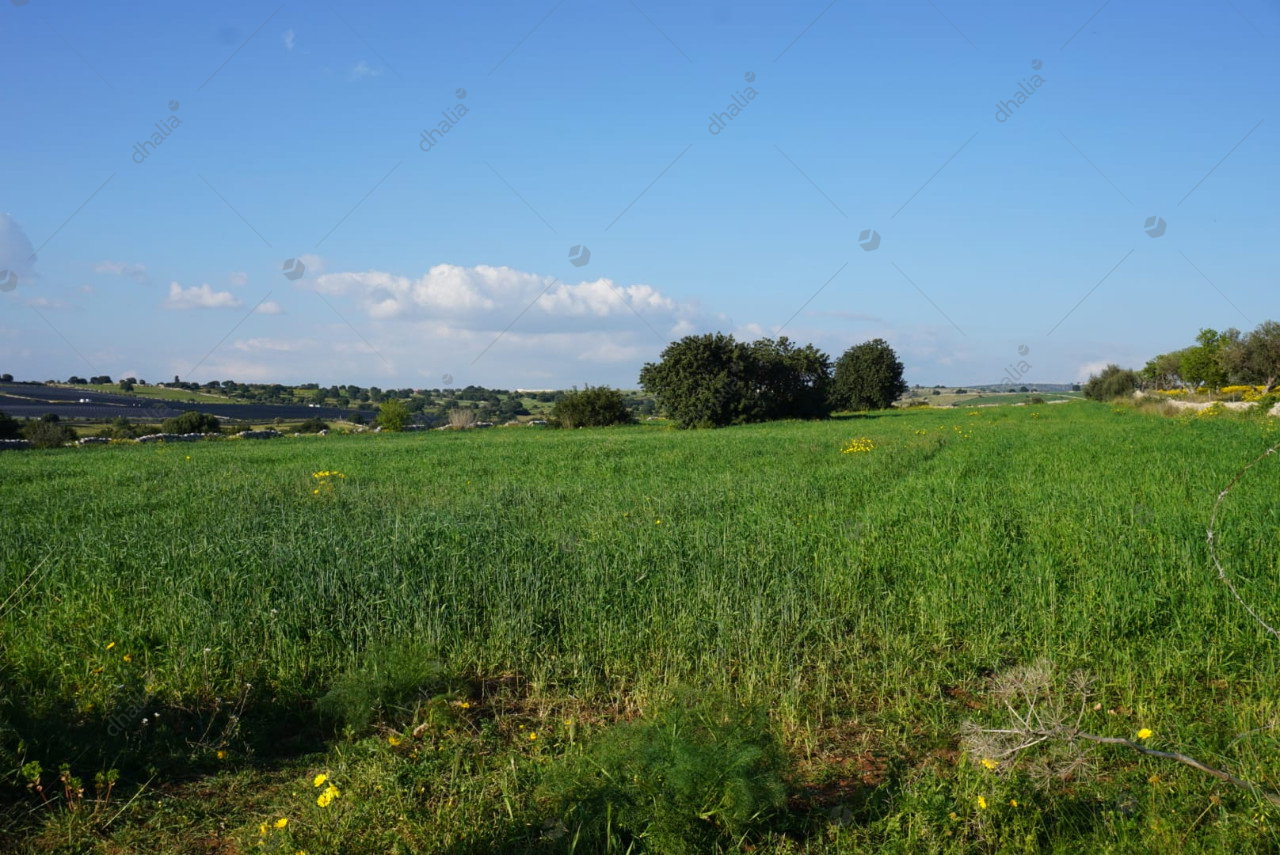 Farmhouse | Sicily